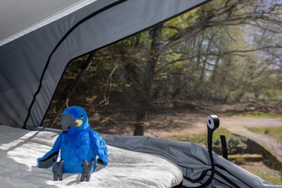 Najem avtodoma Adria Twin Sports 640 SGX Tent Top